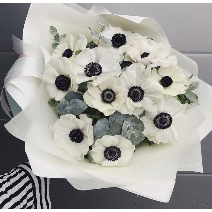 Анемоны в Жезказгане