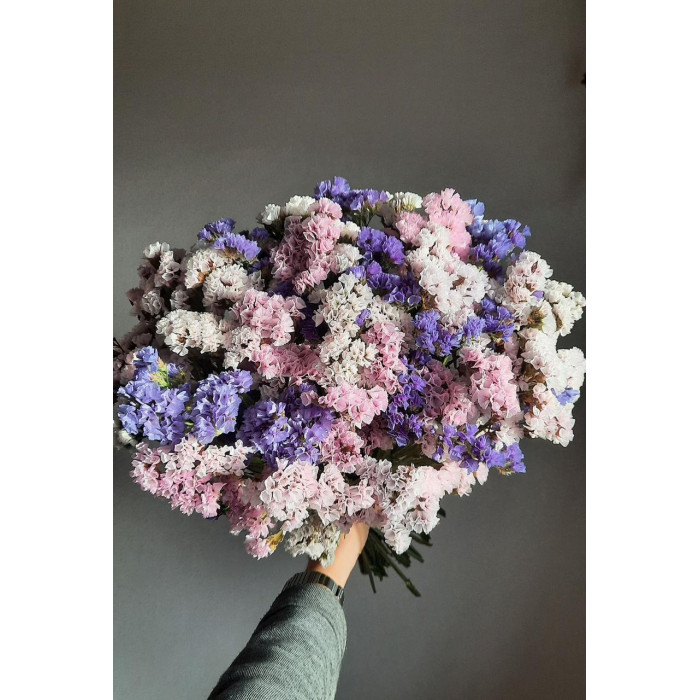 Статица (Лимониум) в Жезказгане