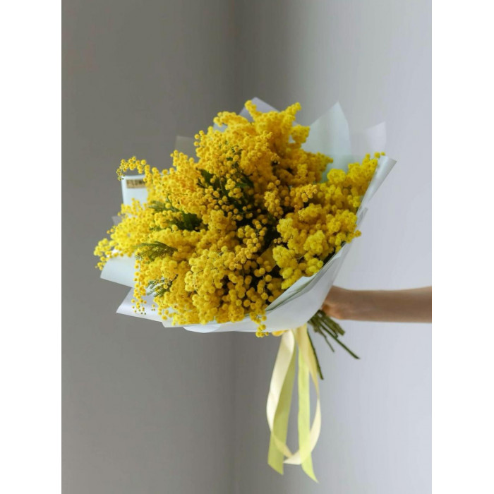 Мимоза в Жезказгане