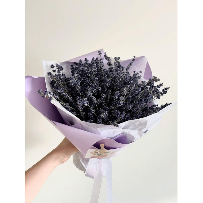 Лаванда в Жезказгане