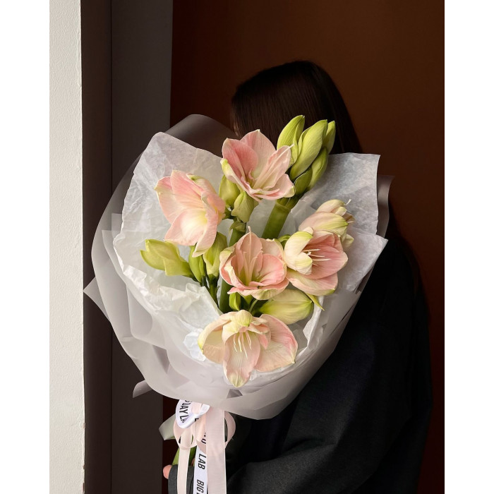 Амариллис в Жезказгане