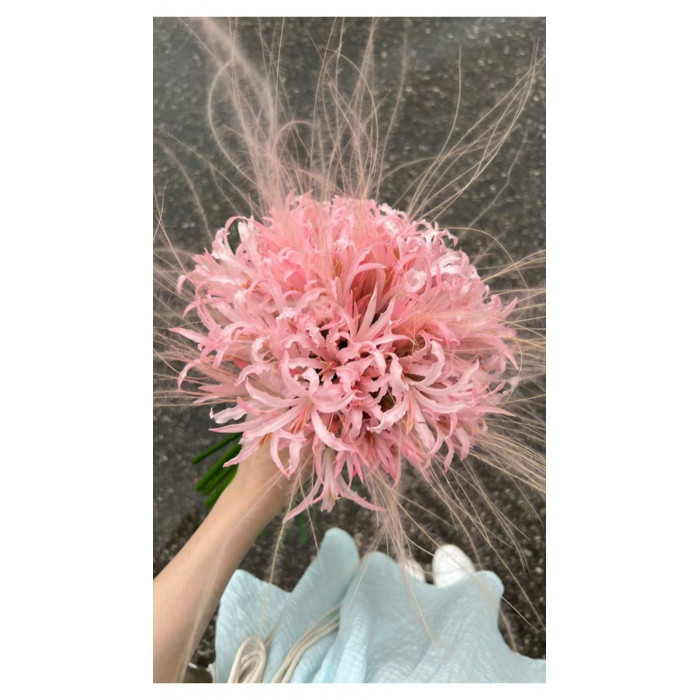 Нерине в Жезказгане