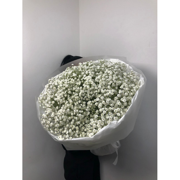 Гипсофила классическая в Жезказгане