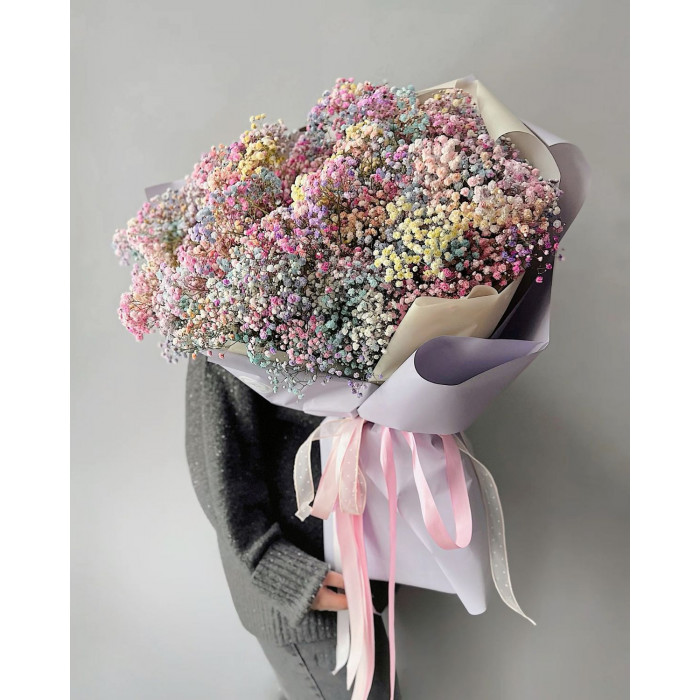 Гипсофила цветная в Жезказгане