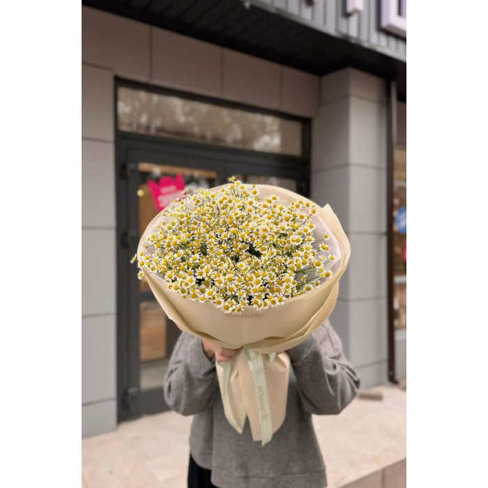 Танацетум в Жезказгане