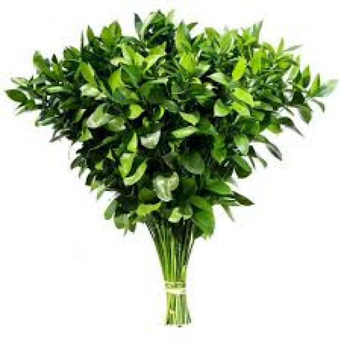 Рускус в Жезказгане