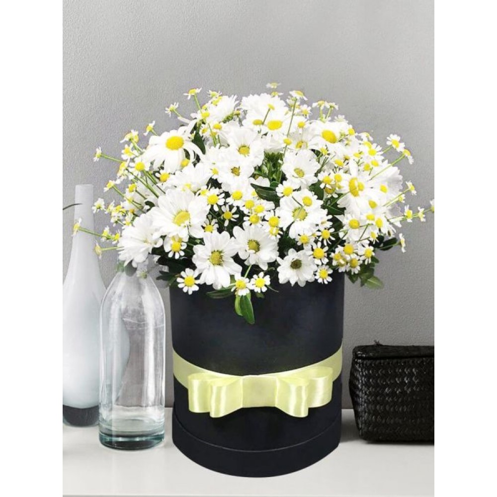 Elegant daisies in a stylish box